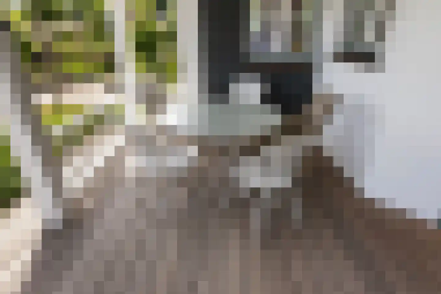 Wezelseveldweg 1 Leur thumbnail 67