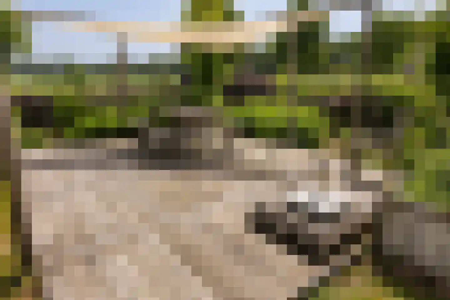 Wezelseveldweg 1 Leur thumbnail 71