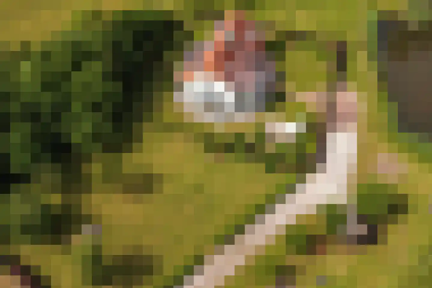 Wezelseveldweg 1 Leur thumbnail 75