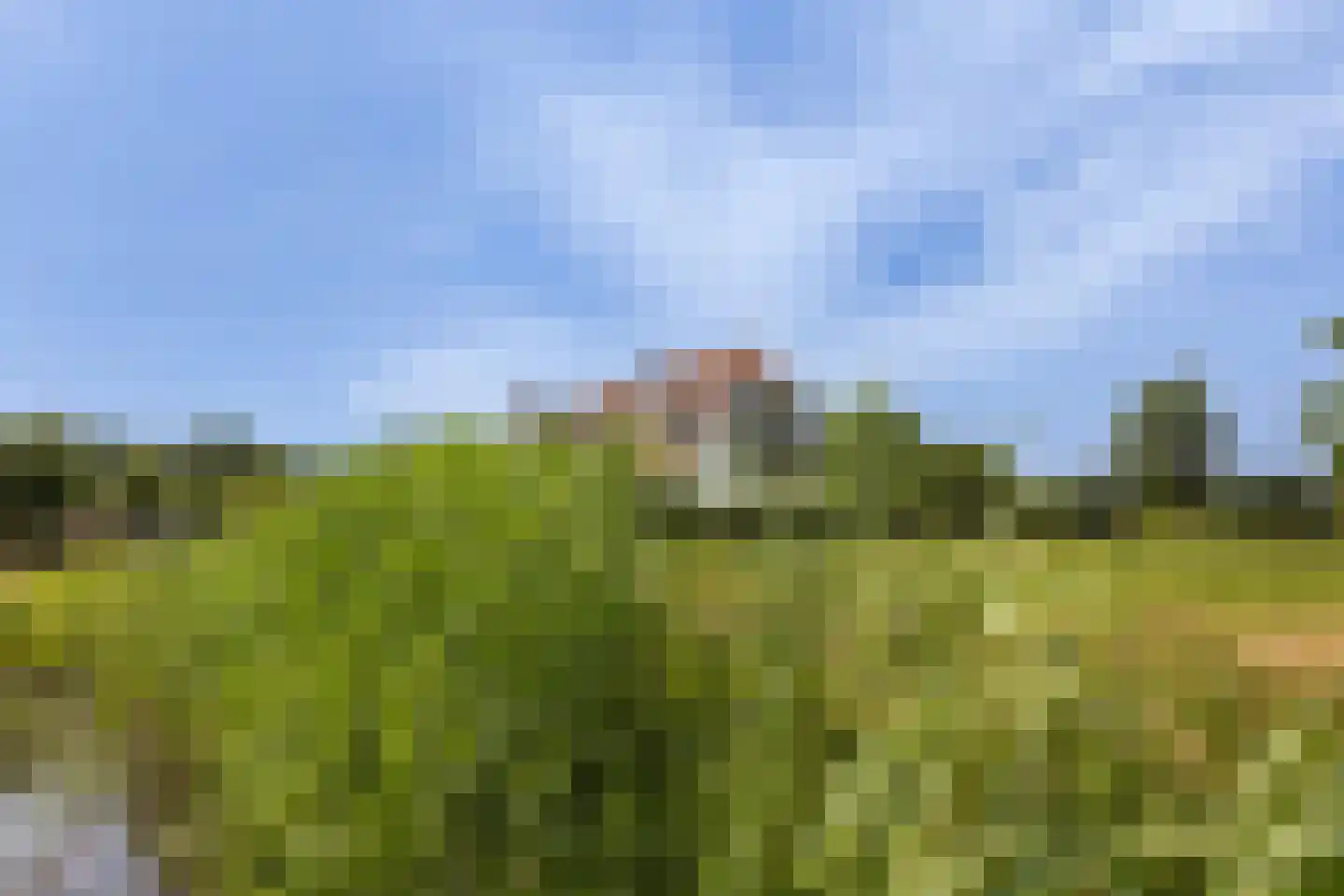 Wezelseveldweg 1 Leur thumbnail 77