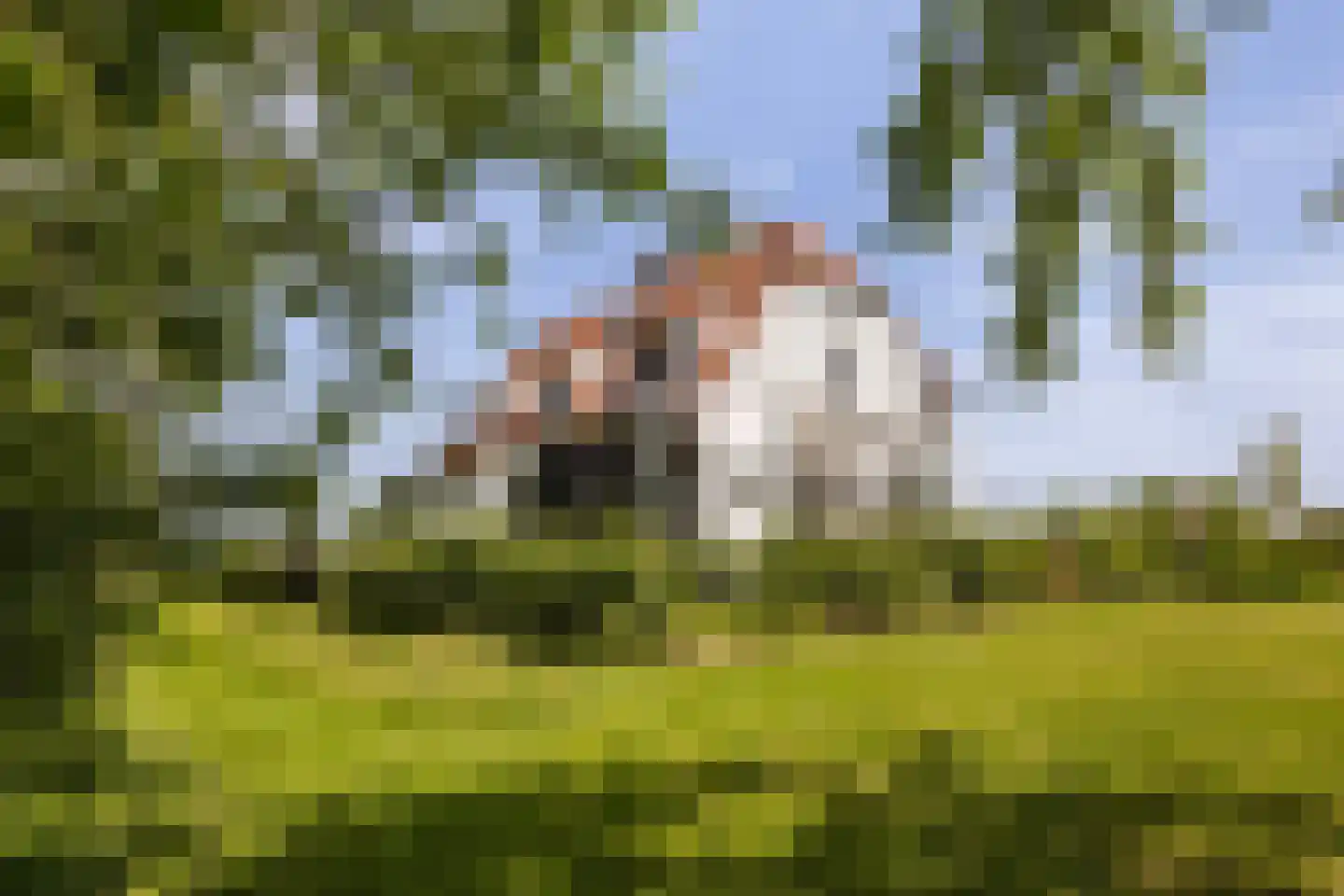 Wezelseveldweg 1 Leur thumbnail 8