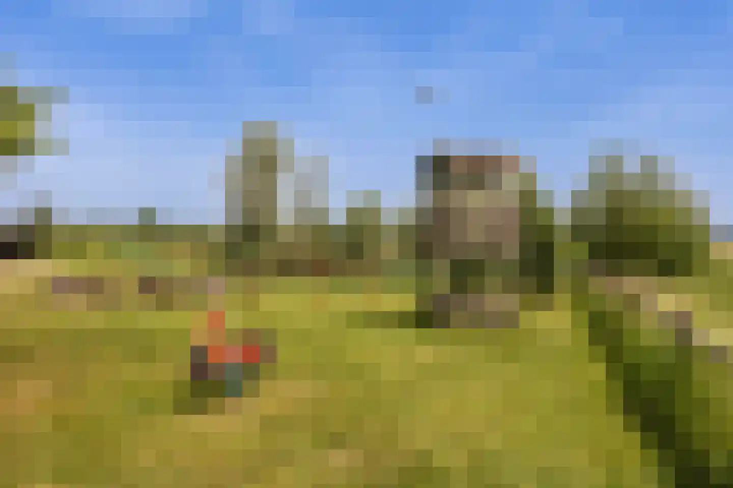 Wezelseveldweg 1 Leur thumbnail 82