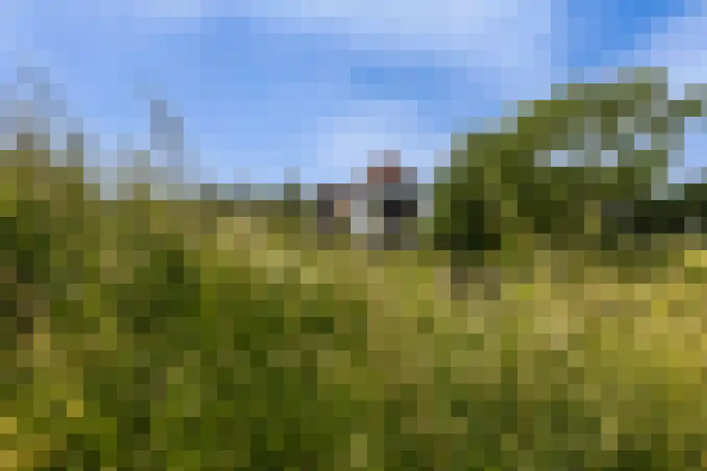 Wezelseveldweg 1 Leur thumbnail 34
