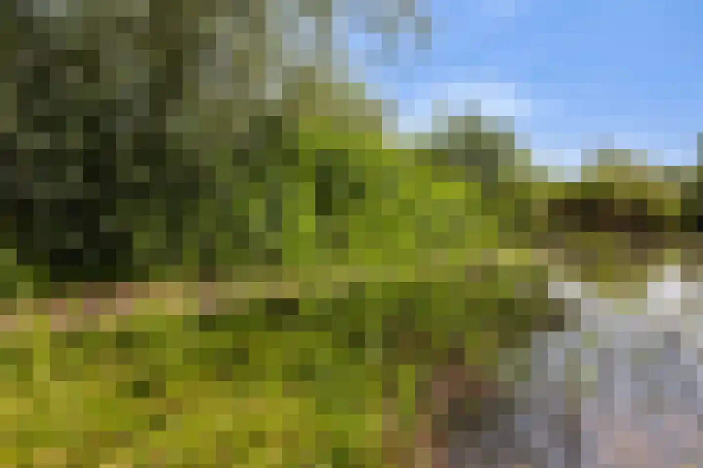 Wezelseveldweg 1 Leur thumbnail 87
