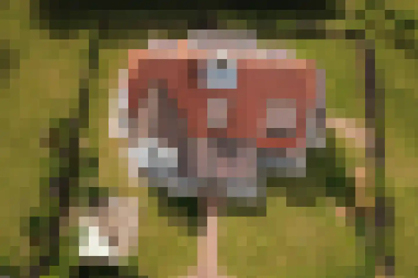 Wezelseveldweg 1 Leur thumbnail 88