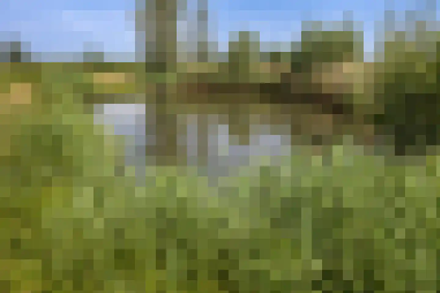 Wezelseveldweg 1 Leur thumbnail 36