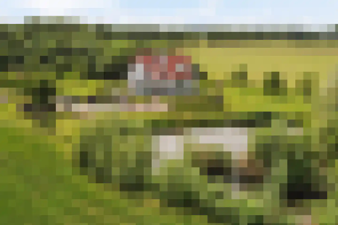 Wezelseveldweg 1 Leur thumbnail 9