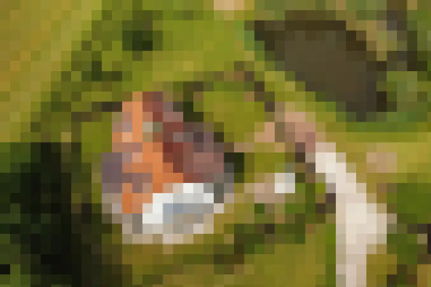 Wezelseveldweg 1 Leur thumbnail 37