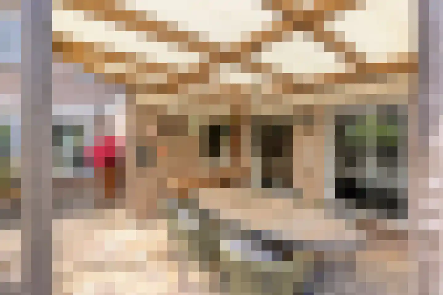 Wezelstraat 18 Volkel thumbnail 34