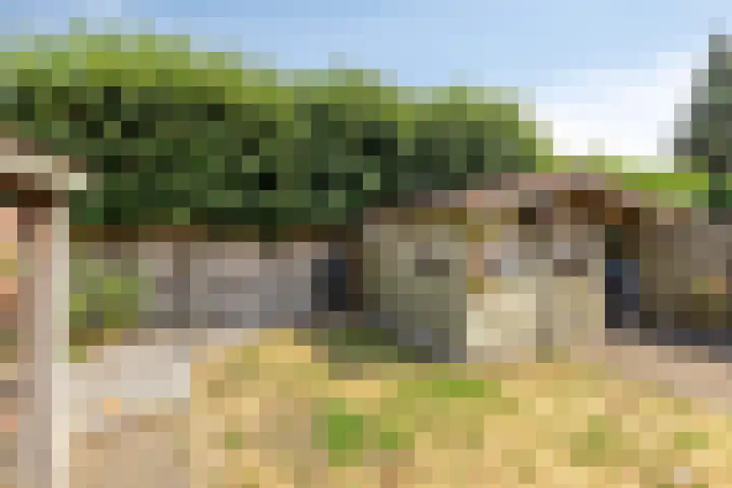 Wezelstraat 18 Volkel thumbnail 35