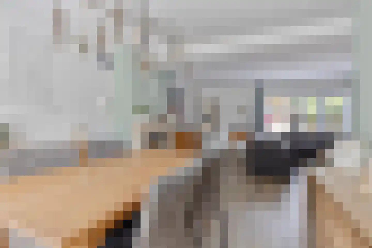 Wezelstraat 18 Volkel thumbnail 6