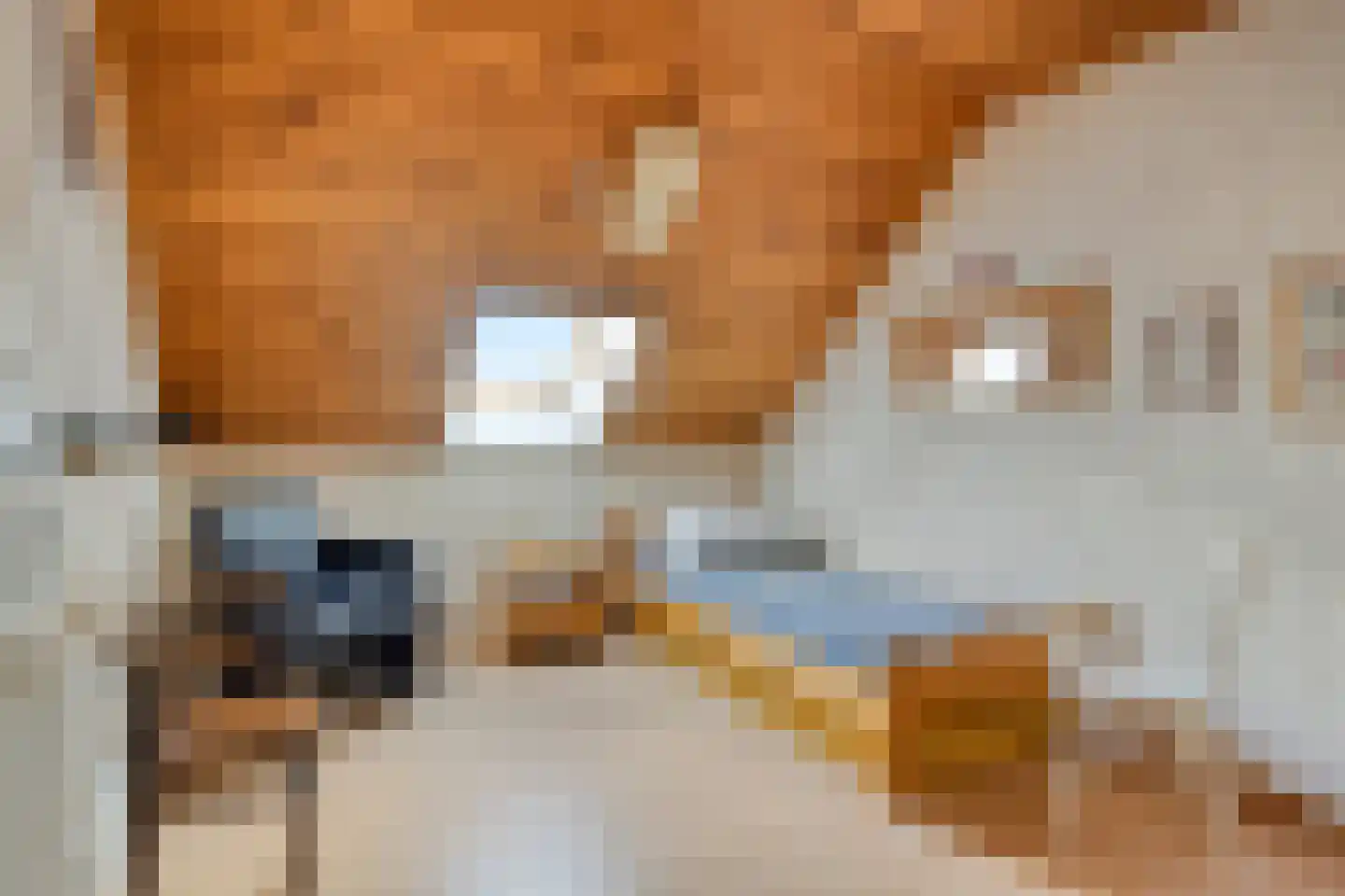 Wezelstraat 24 Volkel thumbnail 26