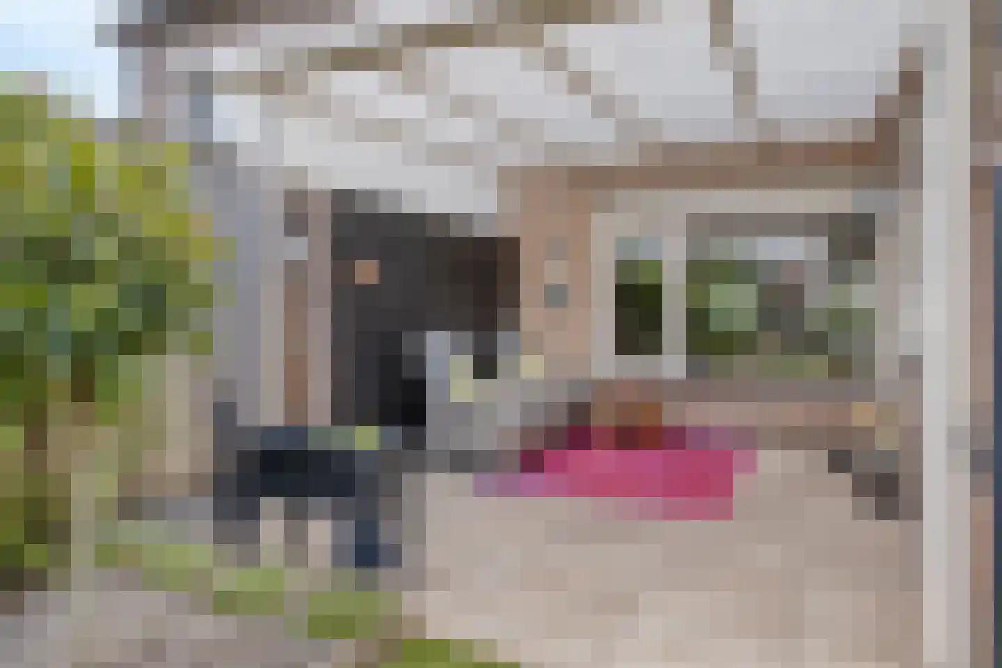 Wezelstraat 24 Volkel thumbnail 29