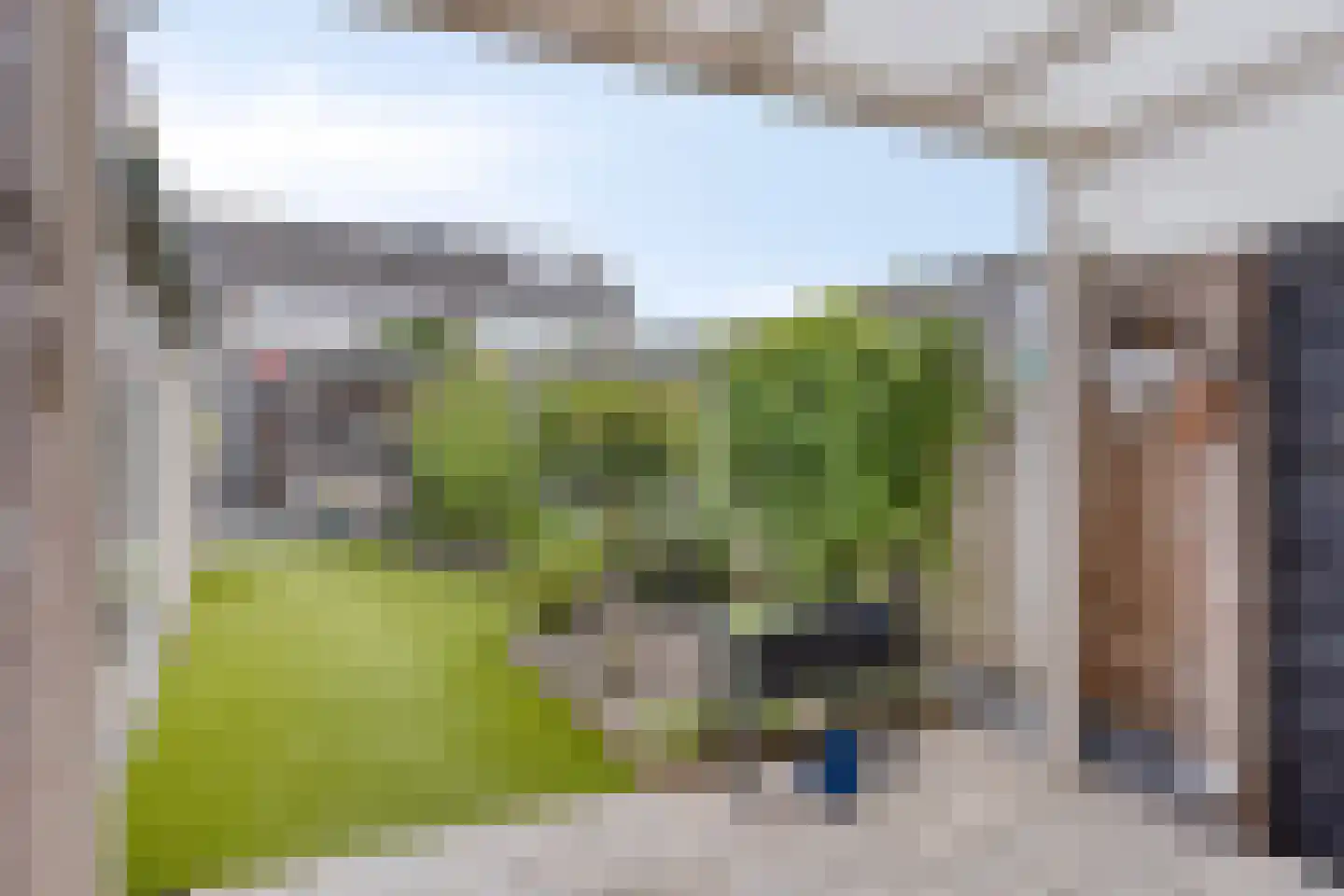 Wezelstraat 24 Volkel thumbnail 30