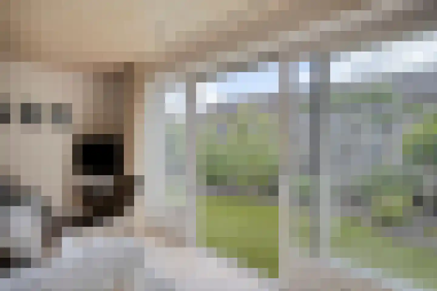 Wezelstraat 24 Volkel thumbnail 4
