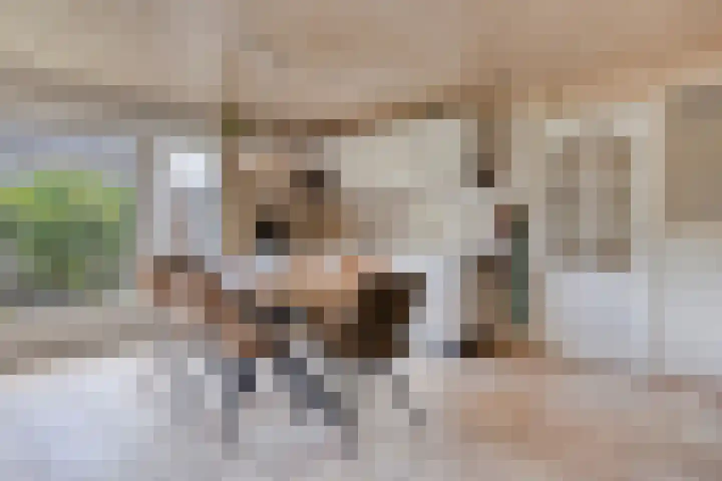Wezelstraat 24 Volkel thumbnail 5