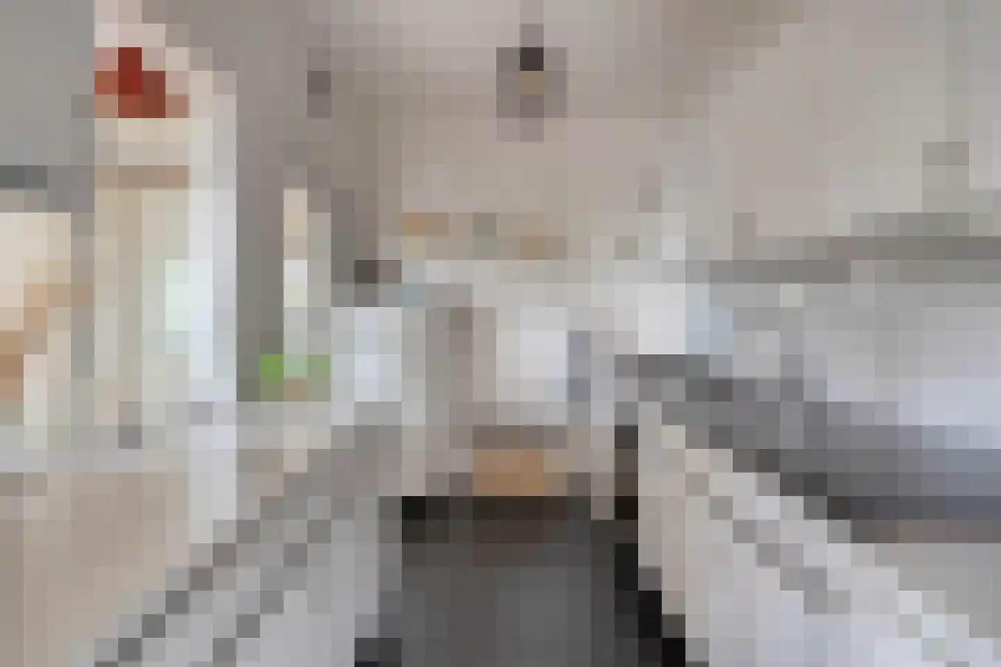 Wezelstraat 24 Volkel thumbnail 7
