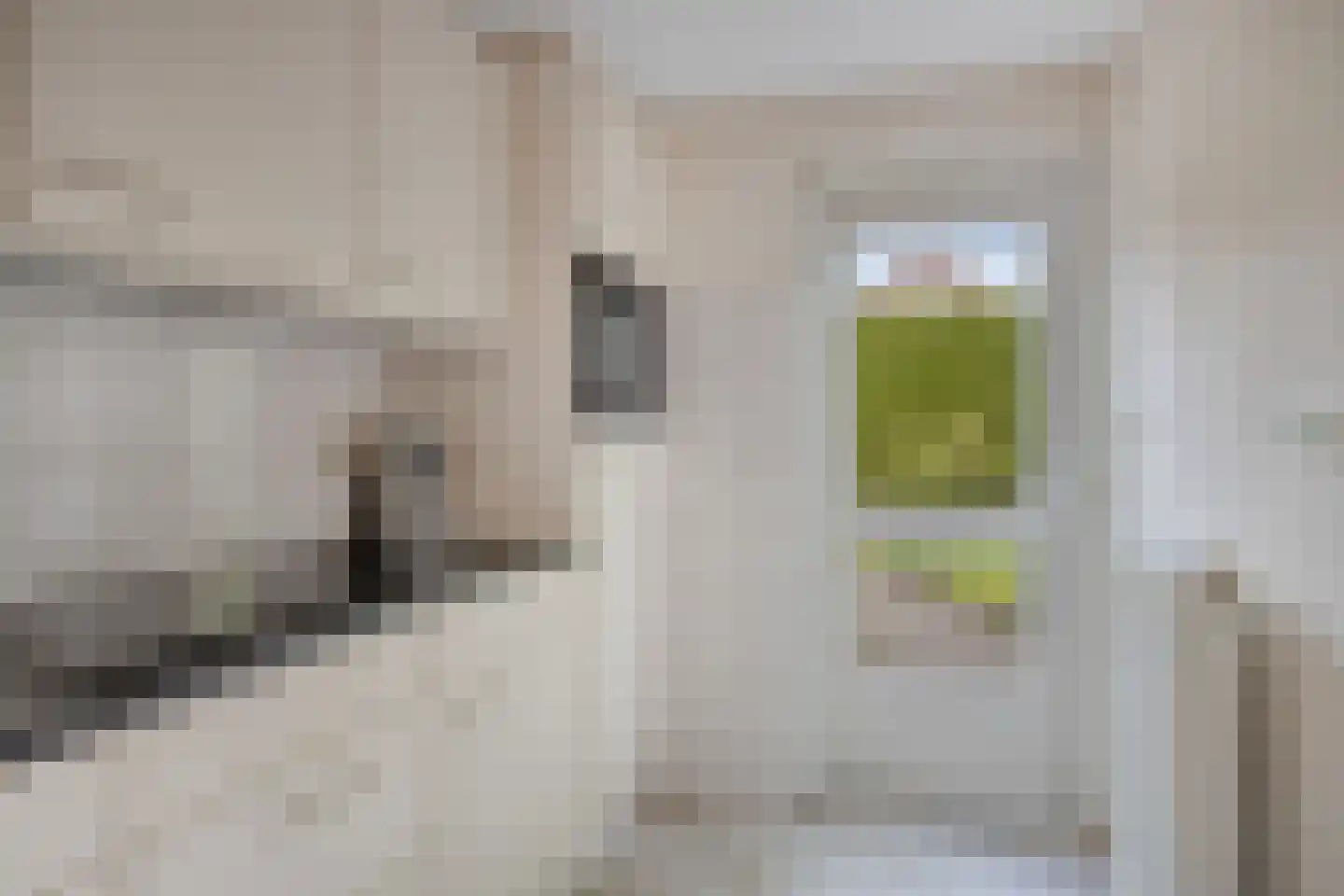 Wezelstraat 59 Hengelo thumbnail 25
