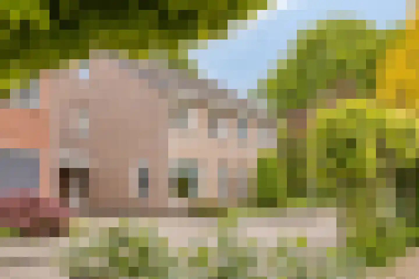 Wezelstraat 59 Hengelo thumbnail 7