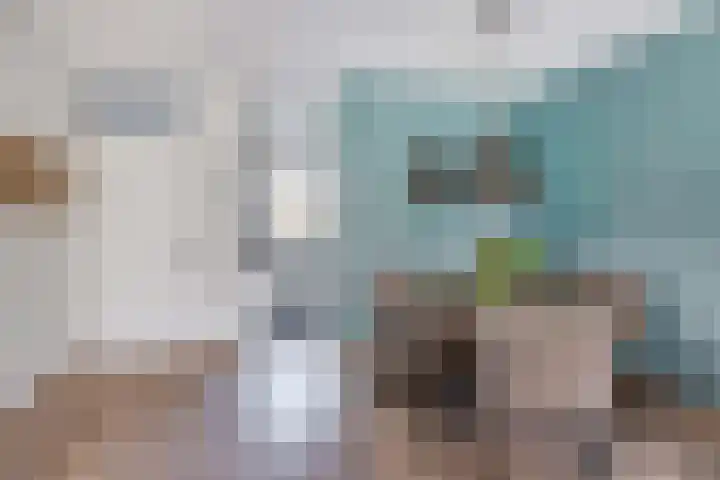 Wezelweide 1 Zoetermeer thumbnail 10