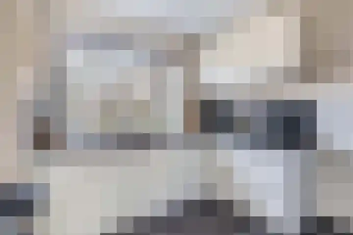 Wezelweide 1 Zoetermeer thumbnail 11