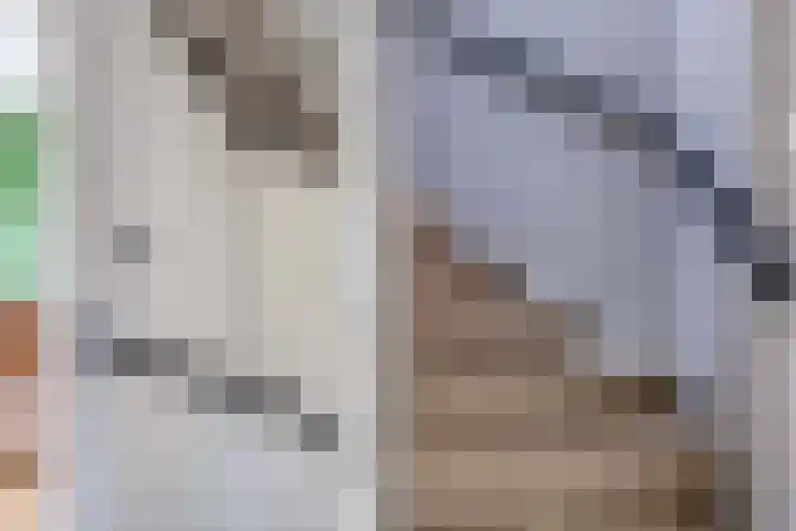 Wezelweide 1 Zoetermeer thumbnail 19