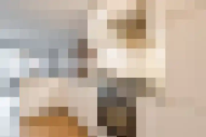 Wezelweide 1 Zoetermeer thumbnail 23