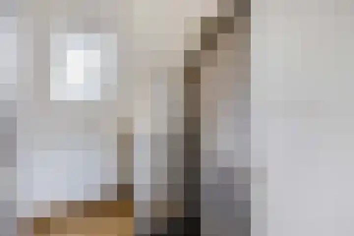 Wezelweide 1 Zoetermeer thumbnail 27