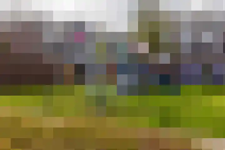 Wezelweide 1 Zoetermeer thumbnail 30