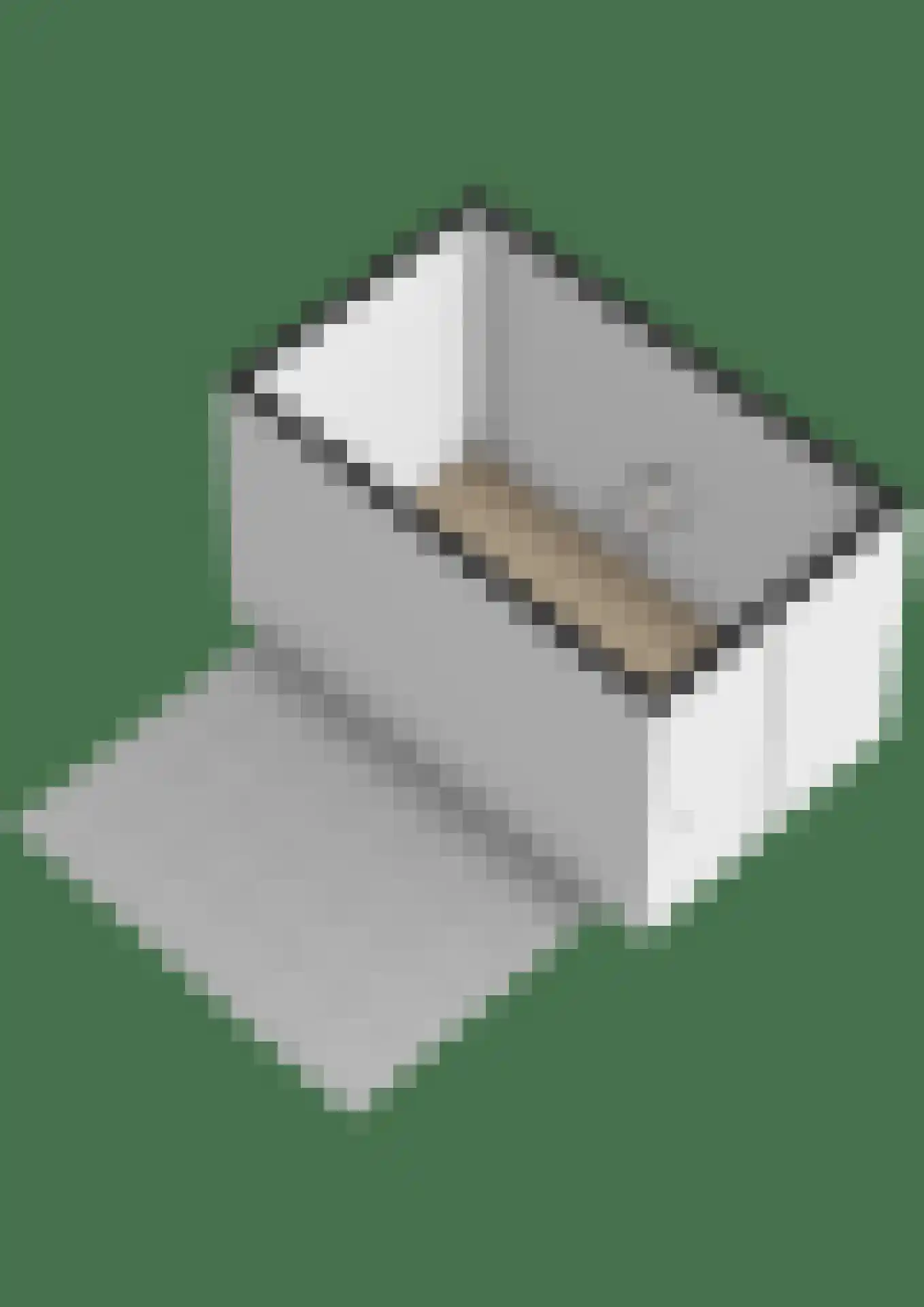 Wezelweide 1 Zoetermeer thumbnail 43