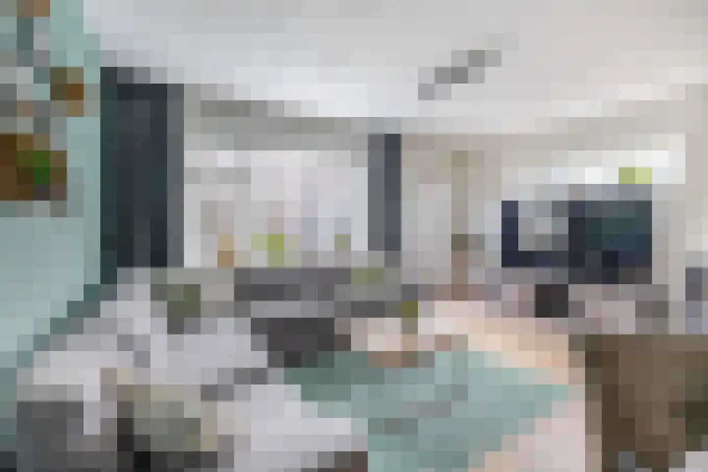 Wezelweide 1 Zoetermeer thumbnail 9