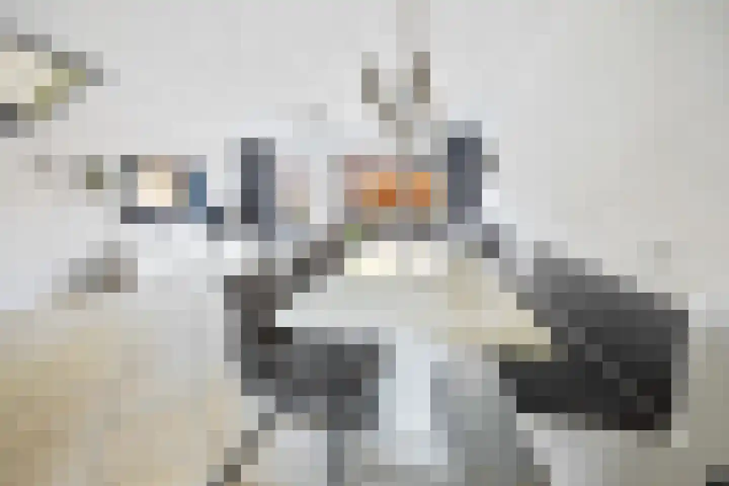 Wezelweide 3 Zoetermeer thumbnail 10