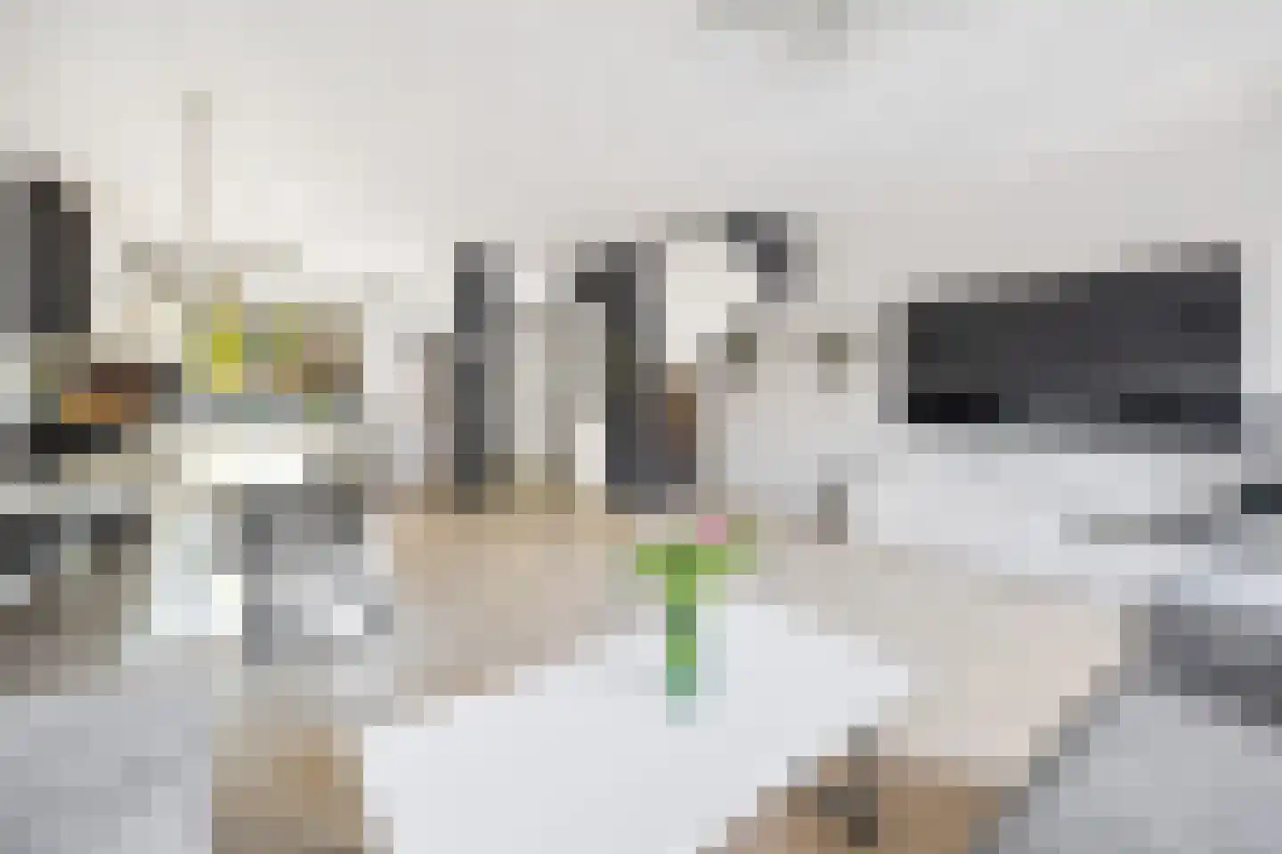 Wezelweide 3 Zoetermeer thumbnail 12