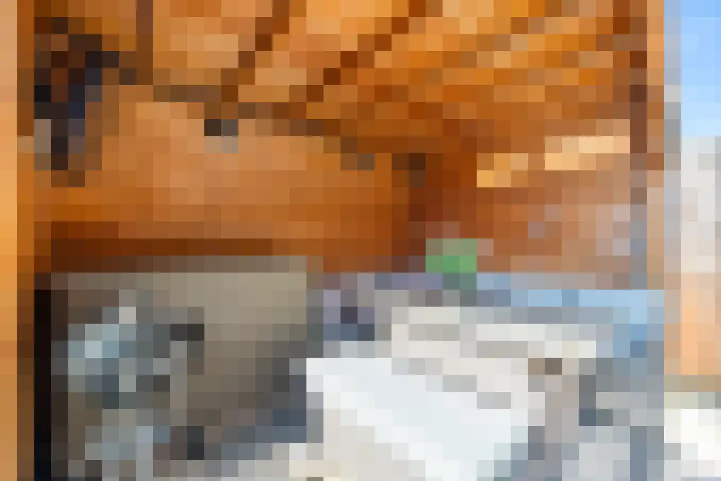 Wezelweide 3 Zoetermeer thumbnail 16