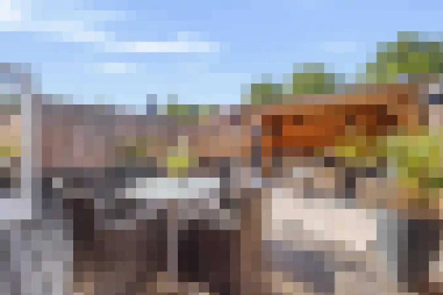 Wezelweide 3 Zoetermeer thumbnail 17