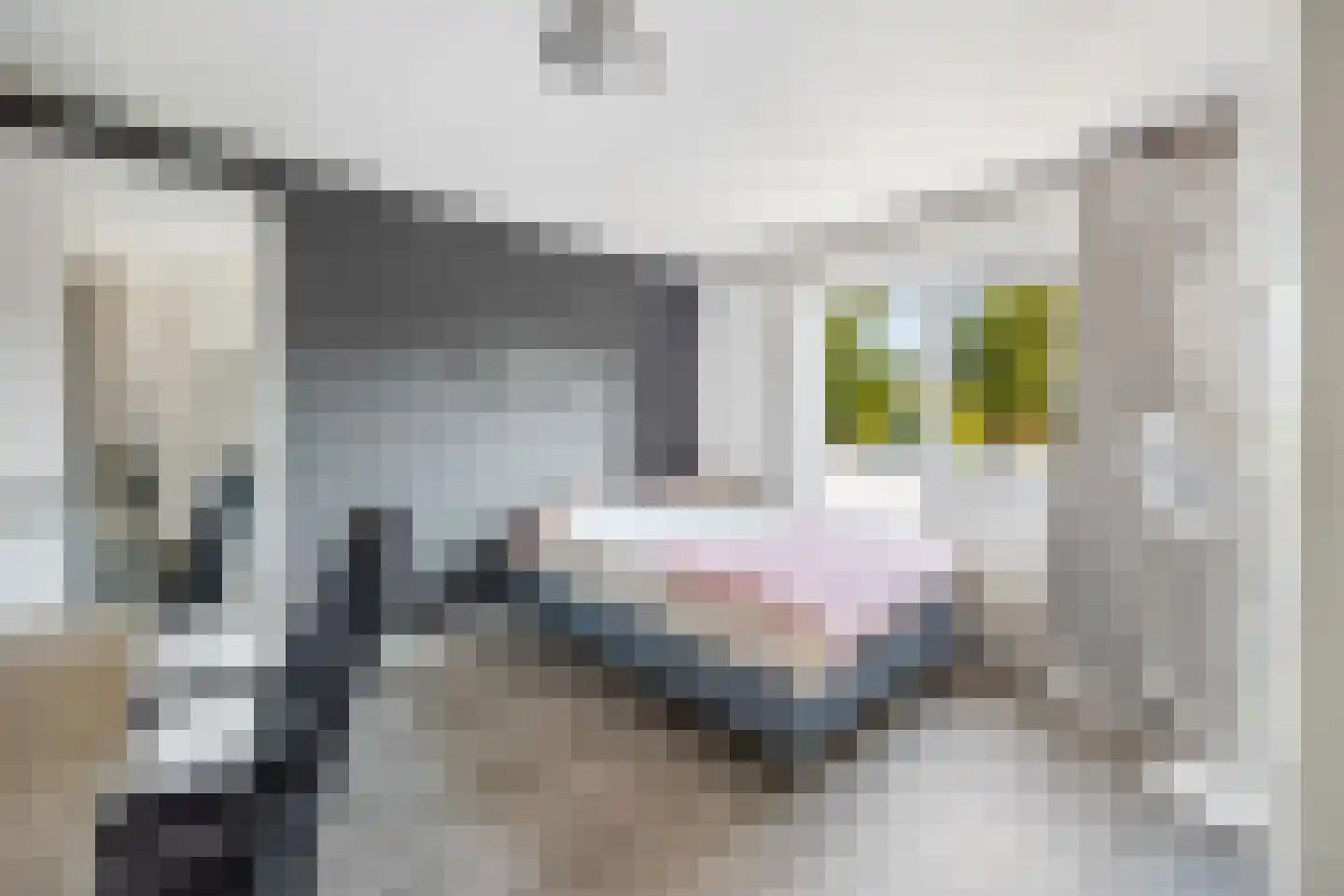Wezelweide 3 Zoetermeer thumbnail 20