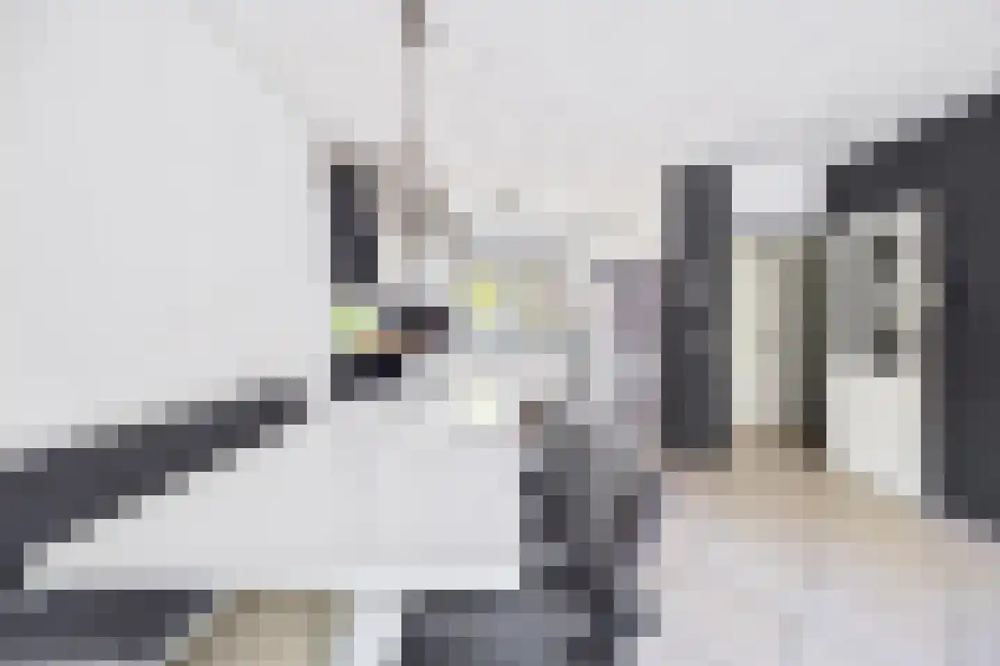 Wezelweide 3 Zoetermeer thumbnail 5