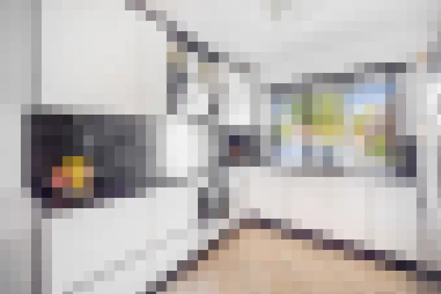 Wezelweide 3 Zoetermeer thumbnail 6