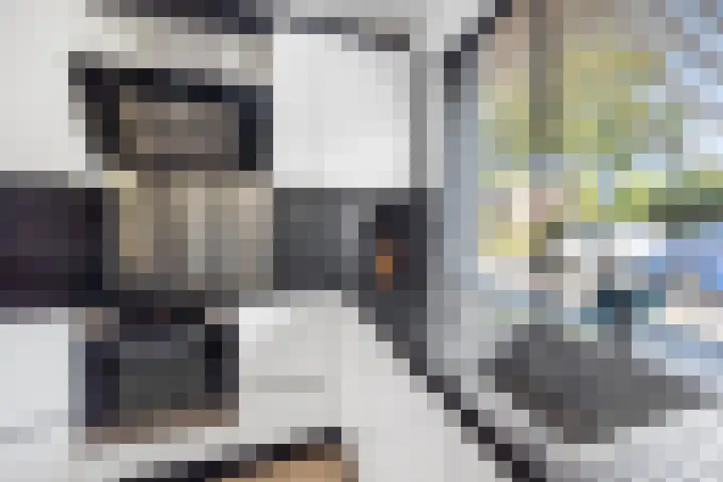 Wezelweide 3 Zoetermeer thumbnail 7