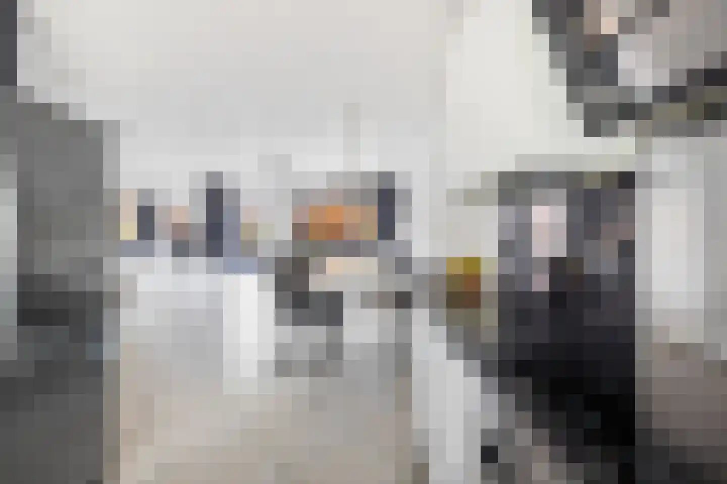 Wezelweide 3 Zoetermeer thumbnail 8