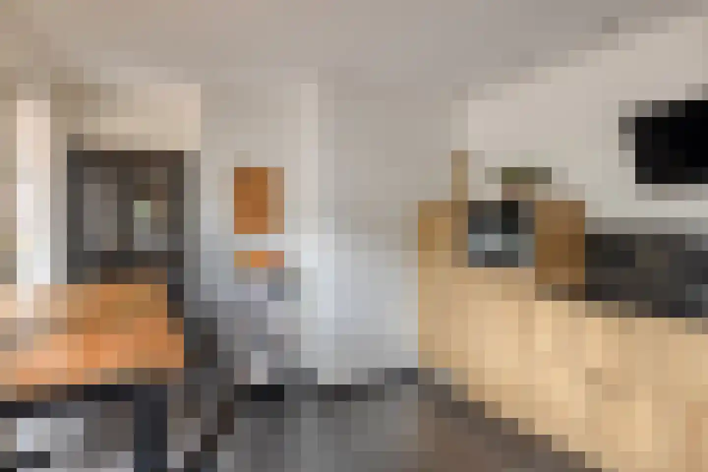 Wezemaal 15 Hoeven thumbnail 19