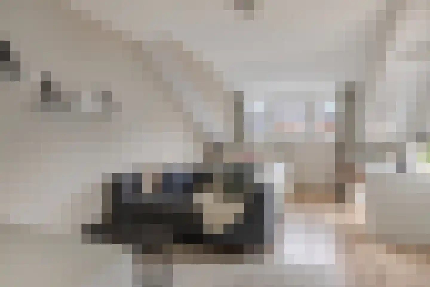 Wezemaal 15 Hoeven thumbnail 30