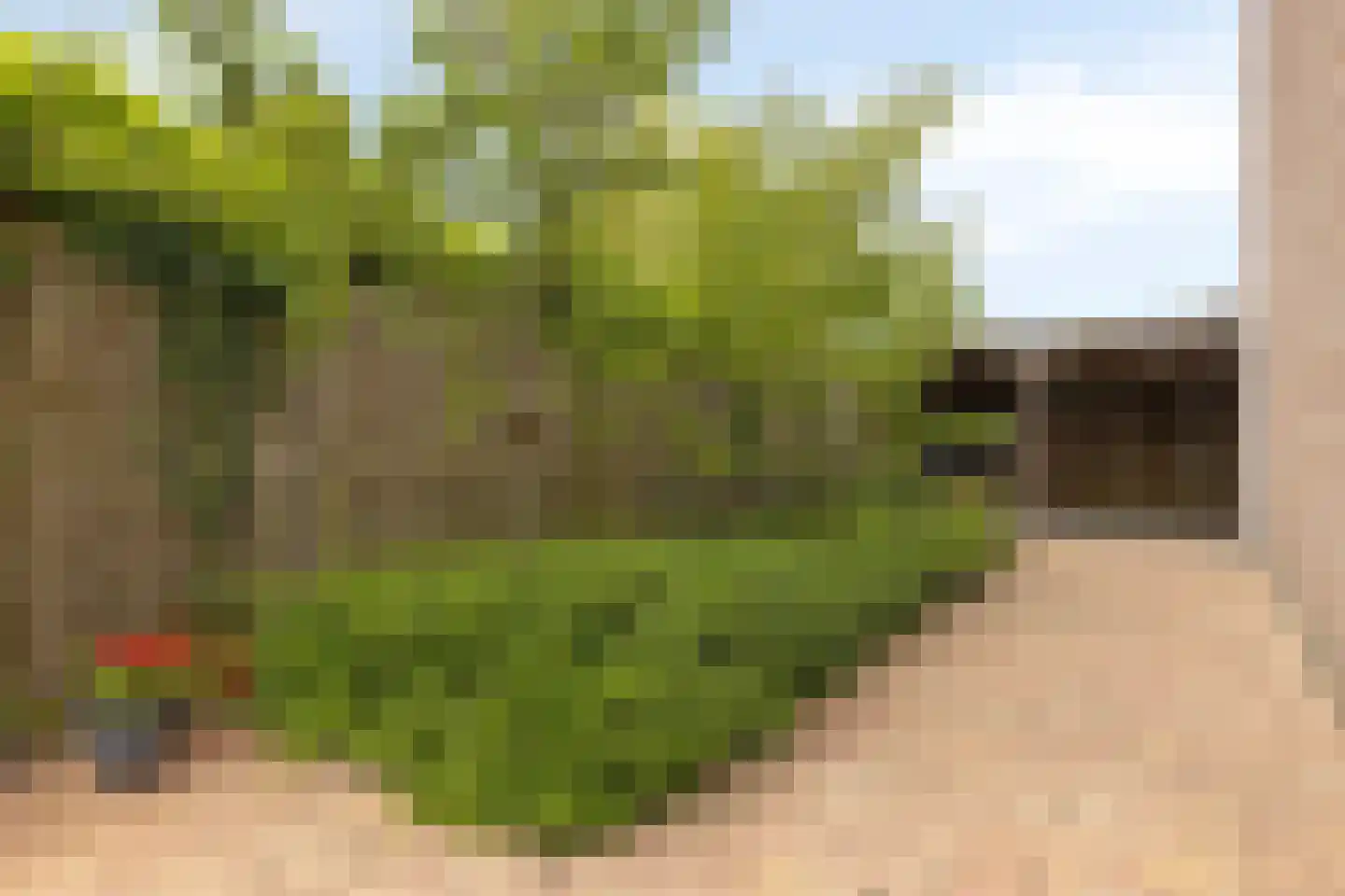 Wezemaal 15 Hoeven thumbnail 57