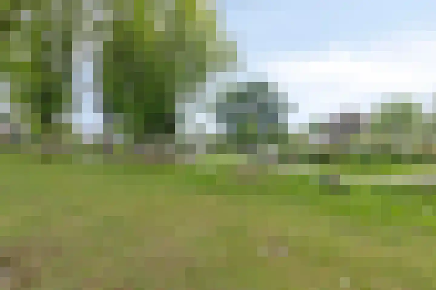 Wezemaal 15 Hoeven thumbnail 61