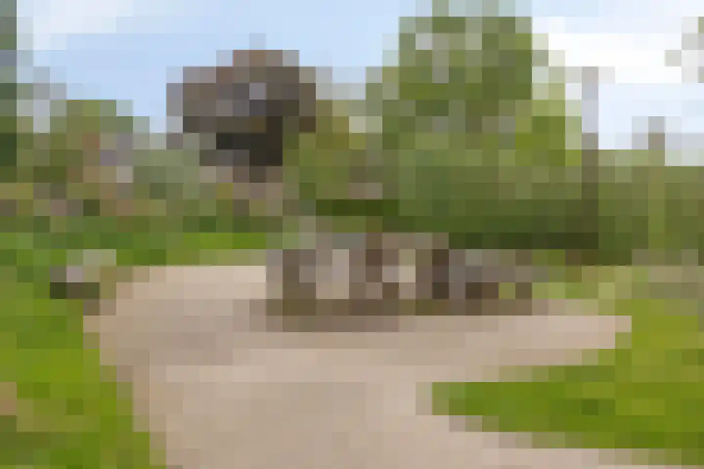 Wezemaal 15 Hoeven thumbnail 63