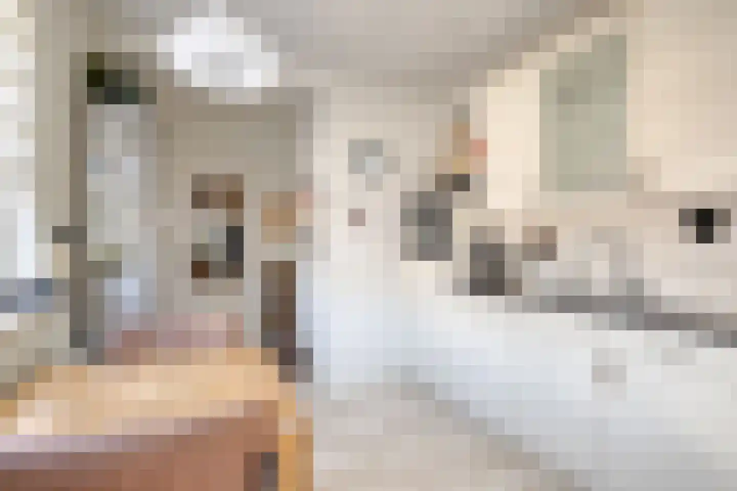 Wezemaal 3 Hoeven thumbnail 14