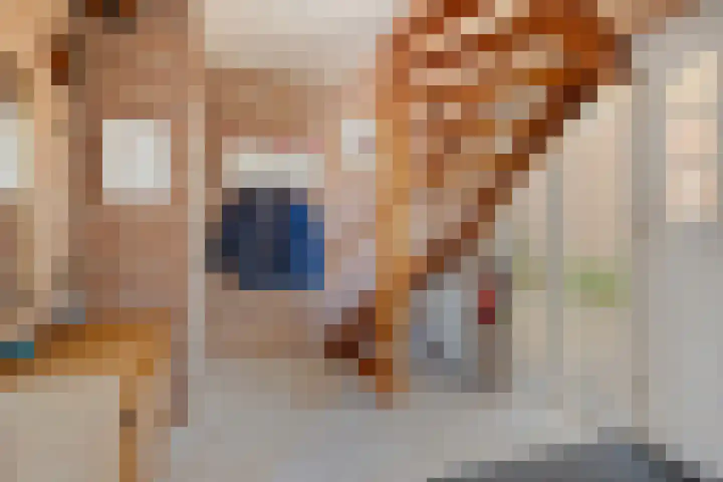 Wezemaal 3 Hoeven thumbnail 16