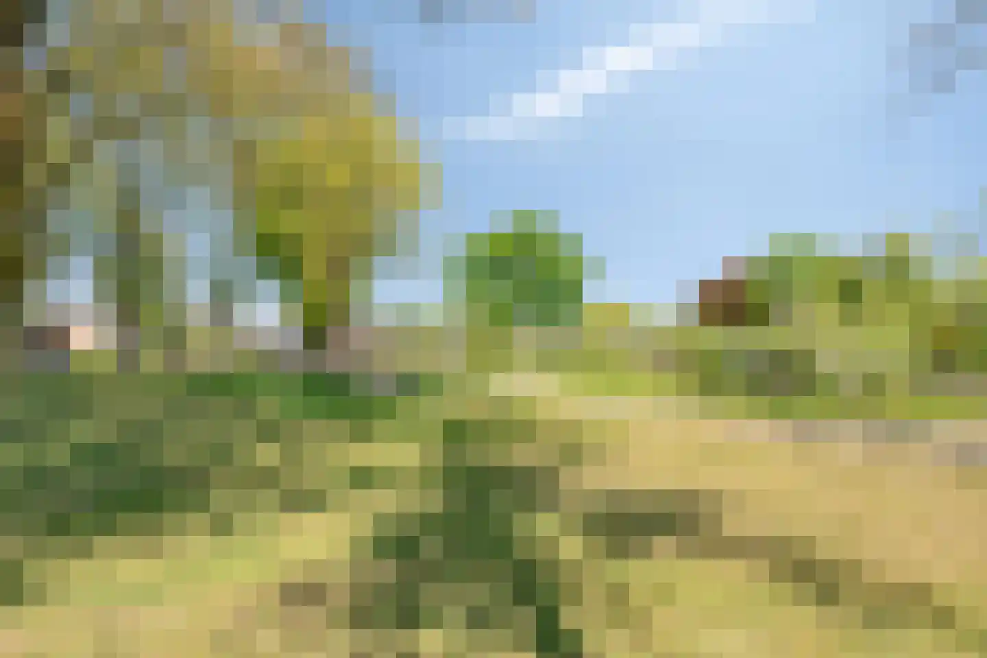 Wezemaal 3 Hoeven thumbnail 31