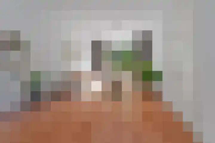 Wezenlaan 119 Nijmegen thumbnail 13