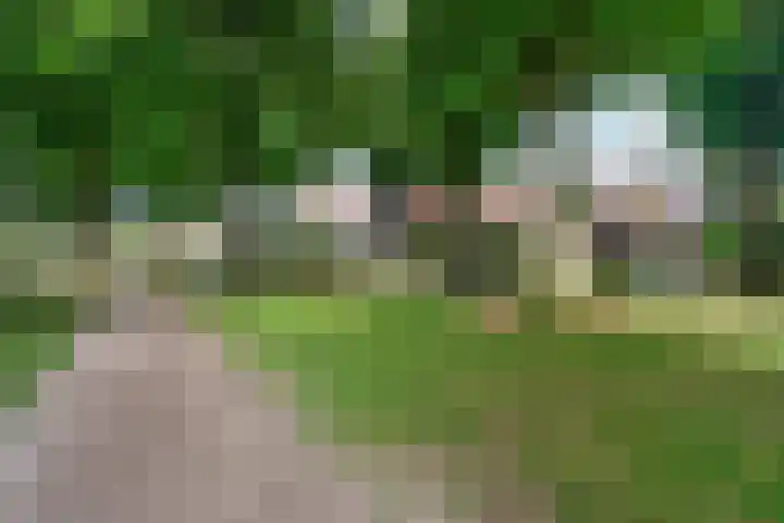Wezenlaan 119 Nijmegen thumbnail 58